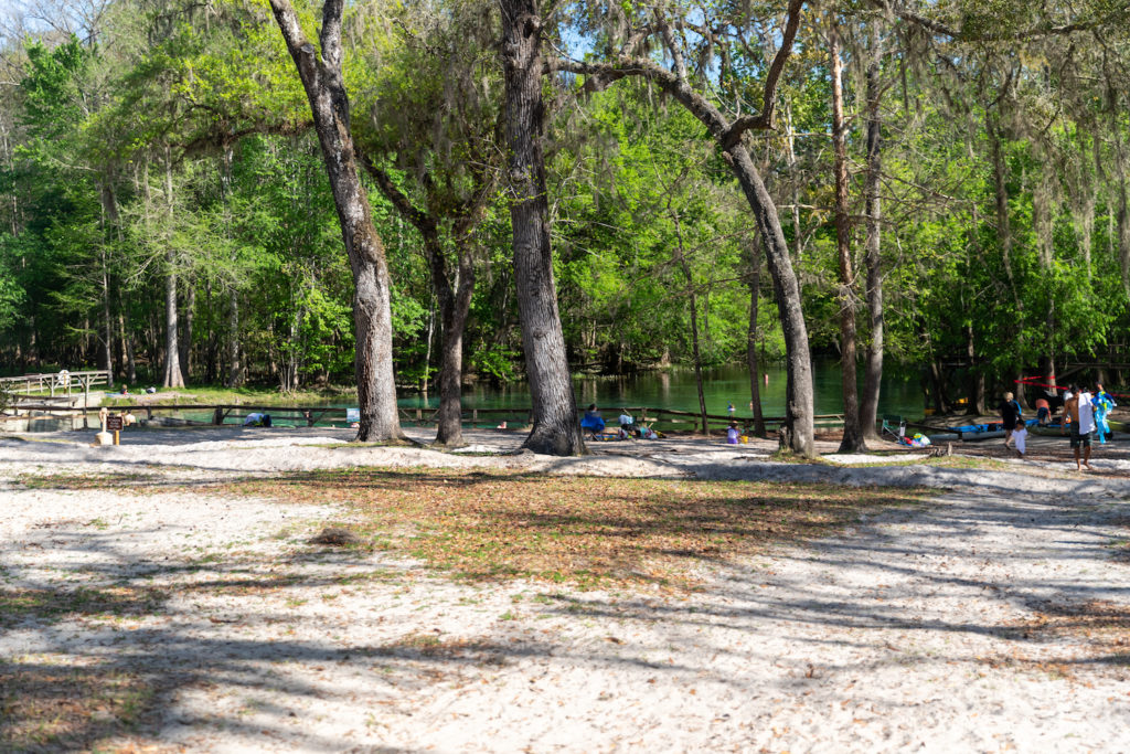 what to do at gilchrist blue springs state park